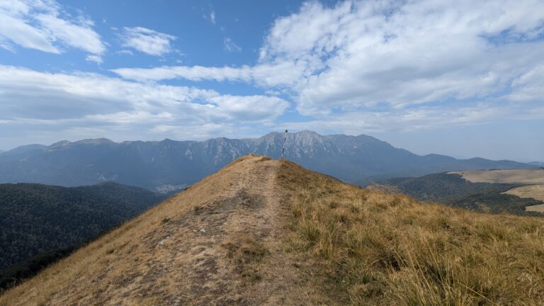 PXL_20240901_095520070